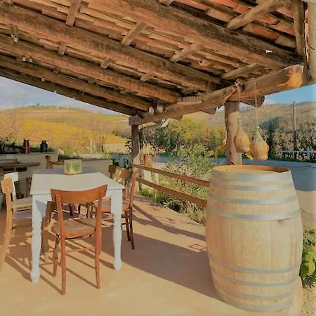 Madama Langa Con Piscina Nelle Vigne Montelupo Albese