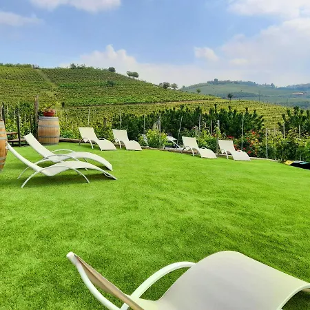 Appartamento Madama Langa Con Piscina Nelle Vigne Montelupo Albese