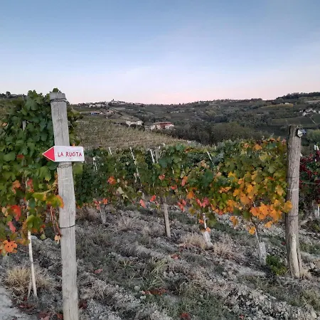 Madama Langa Con Piscina Nelle Vigne Montelupo Albese